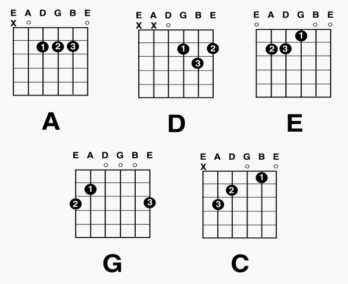 How to Play Guitar: 15 Beginner Chords and Songs