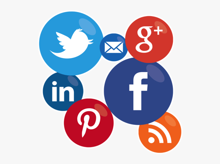 How to Use Social Media: 5 Platforms for Marketing Your Business