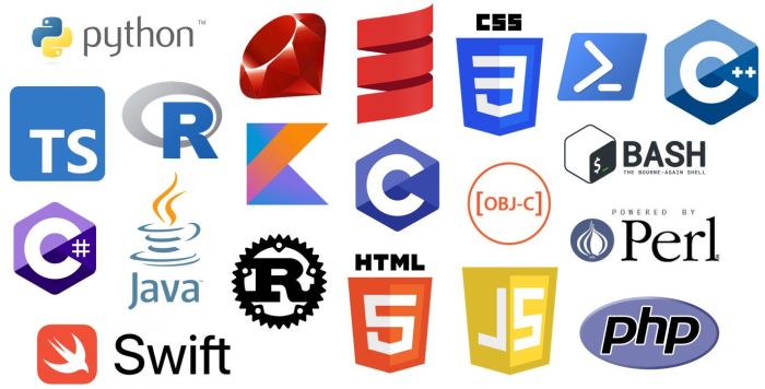 How to Code: 10 Programming Languages for Beginners