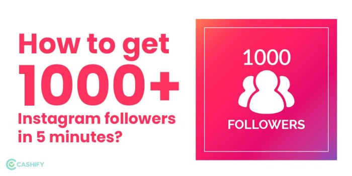 How to Get 1,000 Instagram Followers in 10 Days