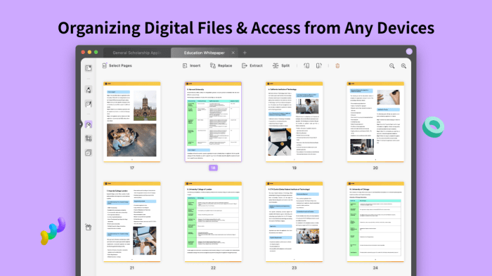 How to Organize Your Digital Files in 7 Days