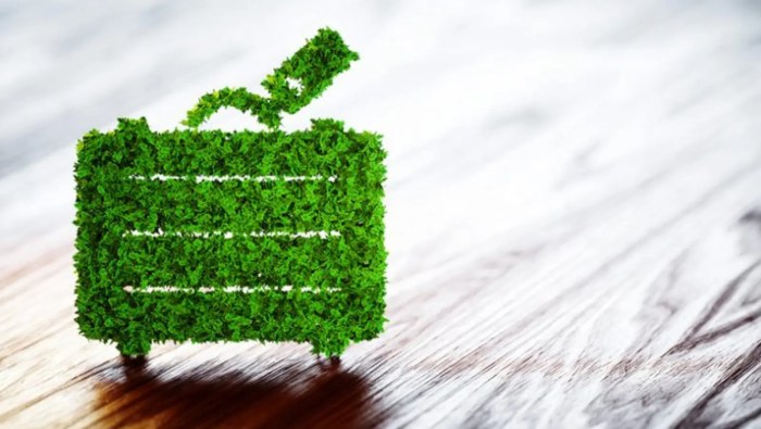 Travel eco friendly ways easy