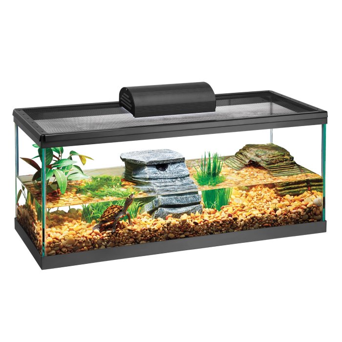 How to Set Up an Aquarium: 10 Steps to a Thriving Aquatic Environment