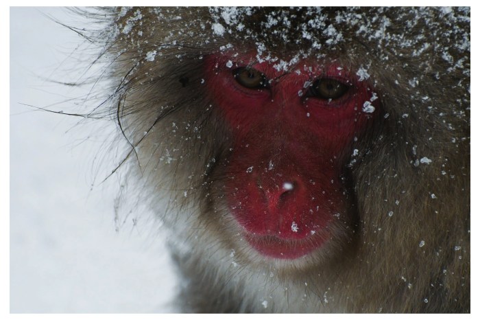 Compose piano transpose composing composition composer benefits escuela armonia cmuse musikalessons Compose piano transpose composing composition composer benefits escuela armonia cmuse musikalessons