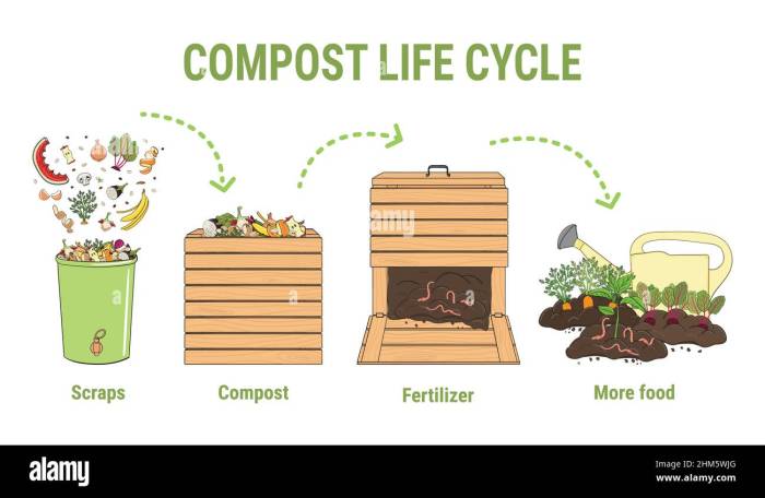 How to Compost: 5 Steps to Creating Nutrient-Rich Soil