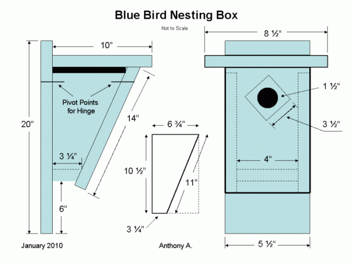 How to Build a Birdhouse: 10 Steps to Creating a Safe Haven for Birds