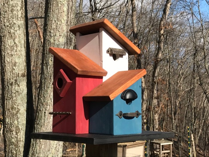 How to Build a Birdhouse: 10 Steps to Creating a Safe Haven for Birds