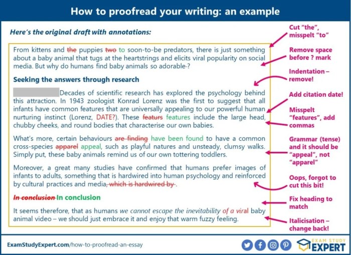 Paragraph marks editing manuscript proofreader writing skills enhancing following shows Paragraph marks editing manuscript proofreader writing skills enhancing following shows